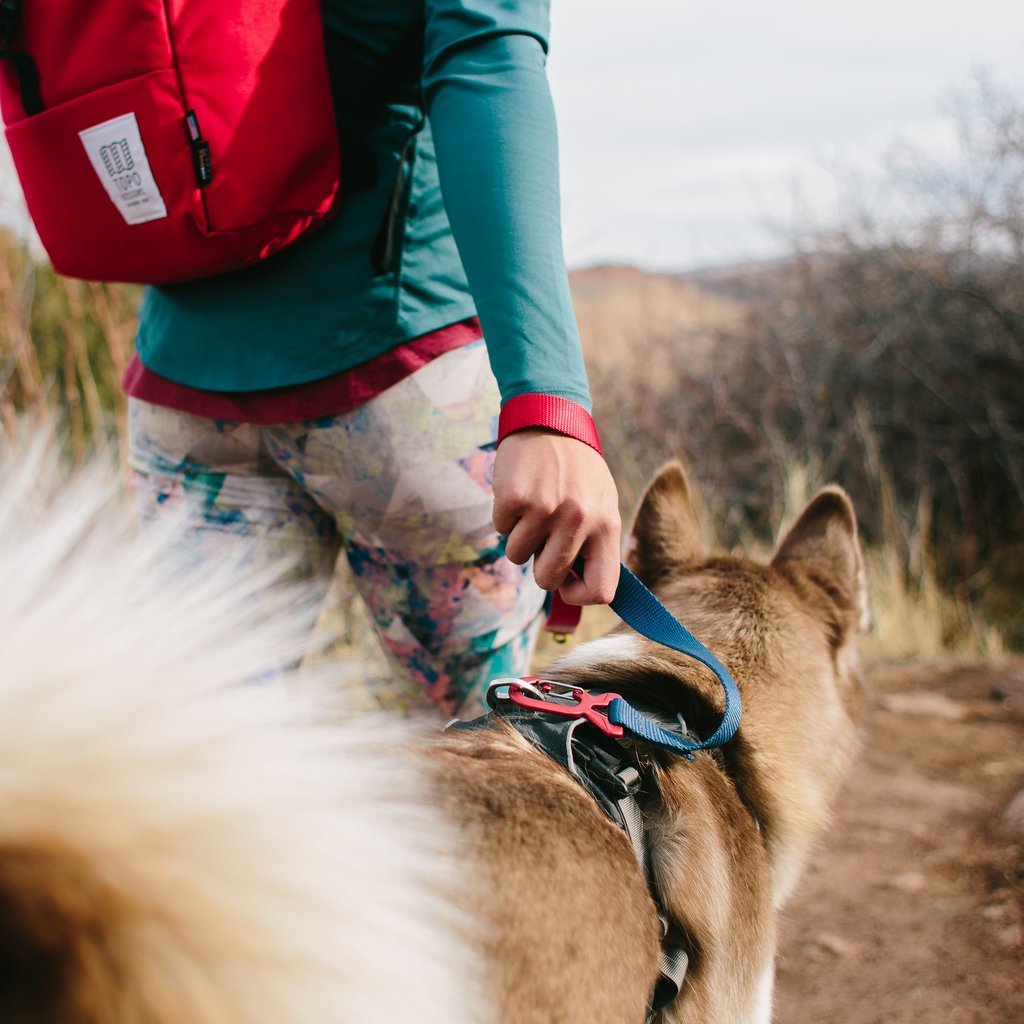 Topo dog hot sale leash