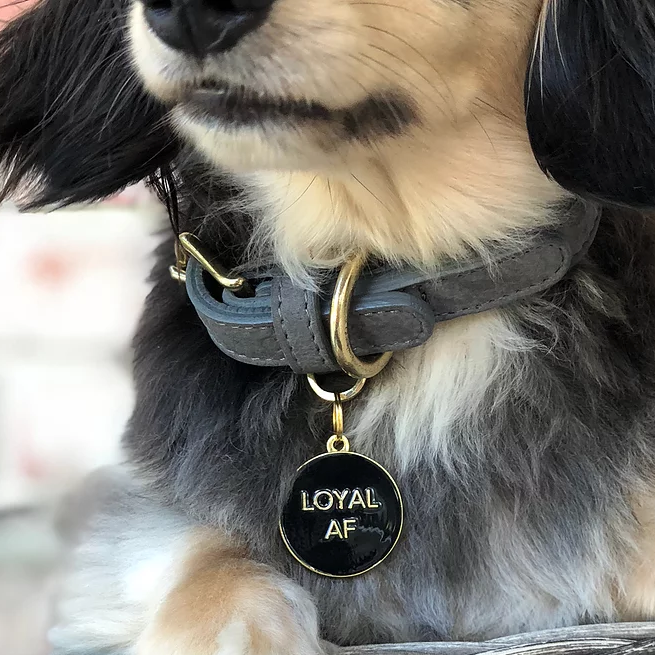Loyal AF - Pink - Pet ID Tag – Two Tails Pet Company