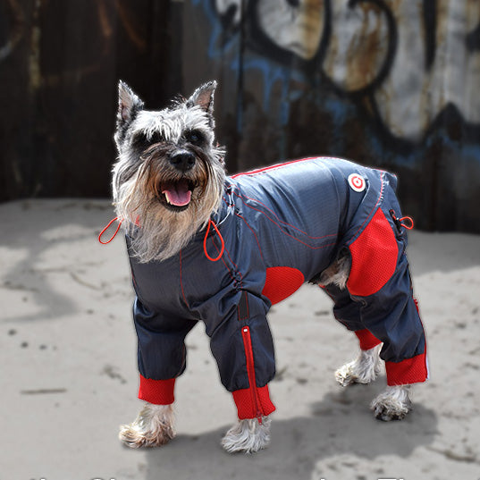 Full body dog snowsuit best sale