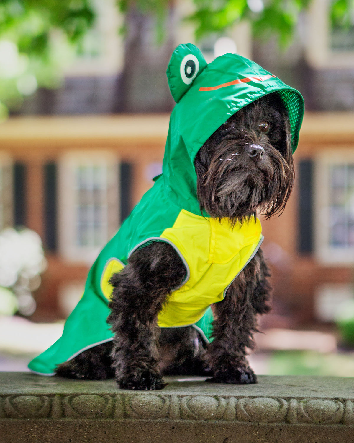 DOGO Frog Raincoat in Green Immediate Ship DOG CO