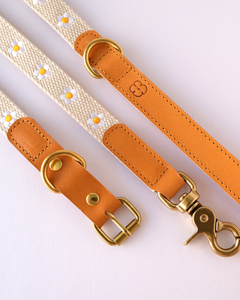 Cotton + Leather Daisy Dog Leash Walk THE SOM STUDIO   