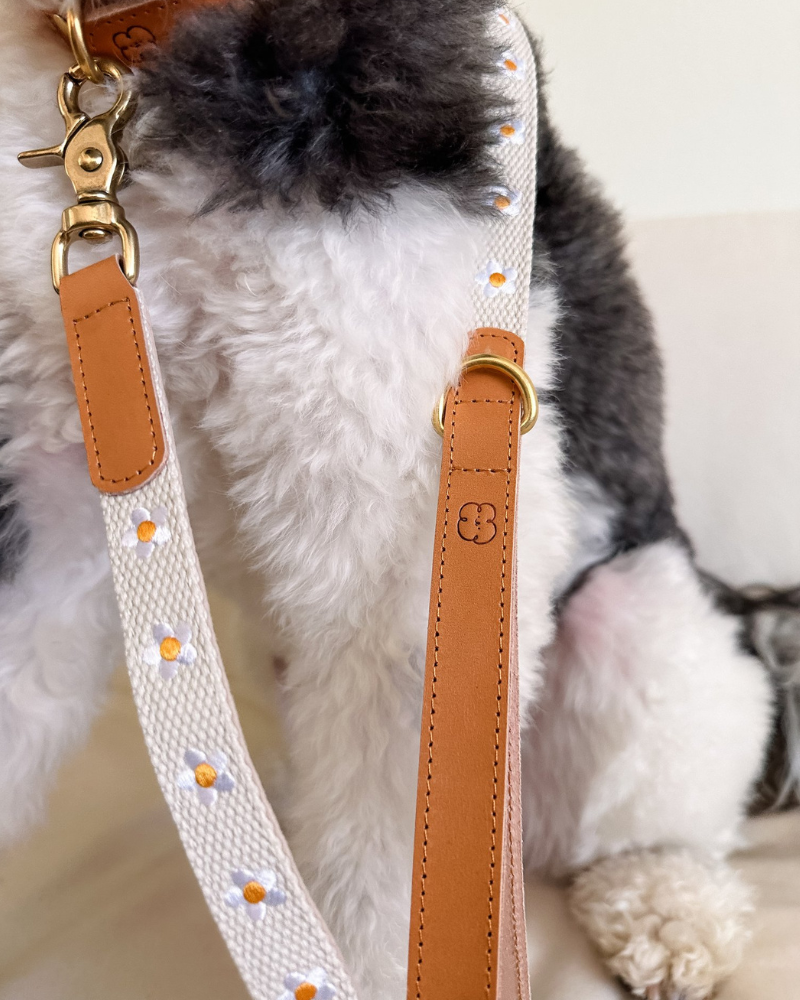 Cotton + Leather Daisy Dog Leash Walk THE SOM STUDIO   