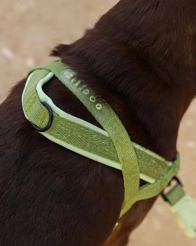 SofterWalk No-Pull Dog Harness in Moss (FINAL SALE) WALK ZEE.DOG