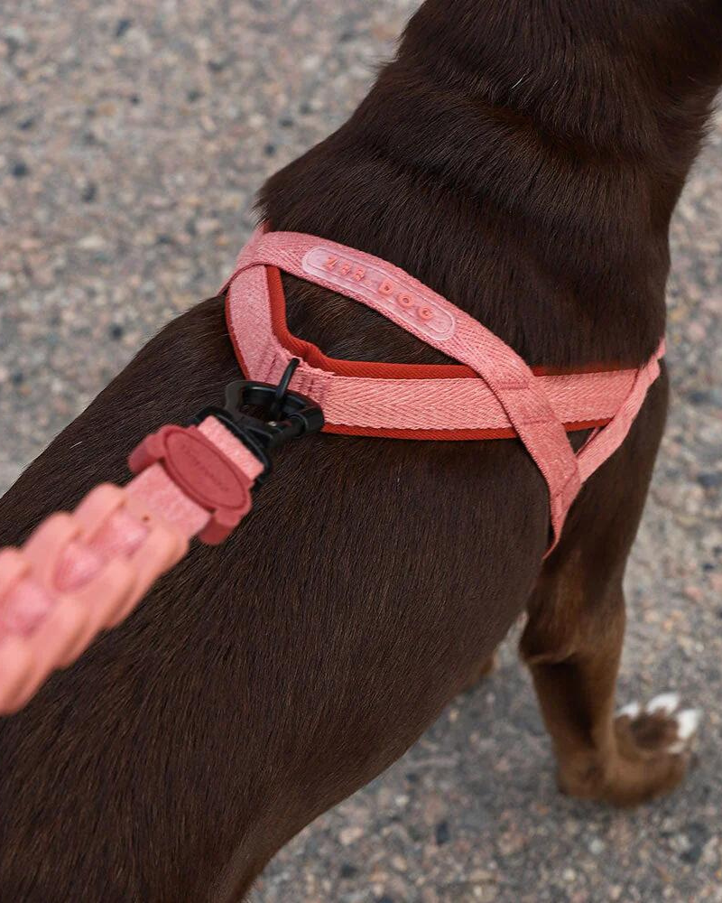 SofterWalk No-Pull Dog Harness in Canyon (FINAL SALE) WALK ZEE.DOG