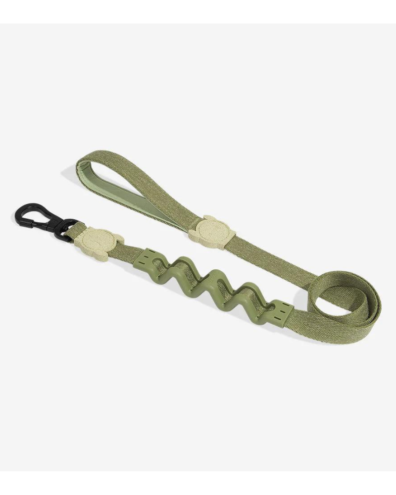 Ruff Leash for Dogs in Moss (FINAL SALE) Walk ZEE.DOG