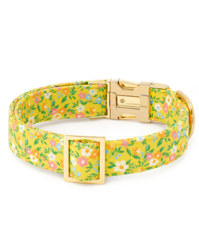 Sunny Meadow Spring Dog Collar (Made in the USA) WALK THE FOGGY DOG