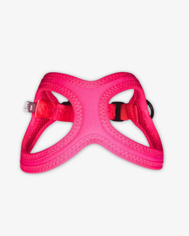 Buddy Belt Sport Harness for Dogs in Neon Pink walk BUDDY BELTS   