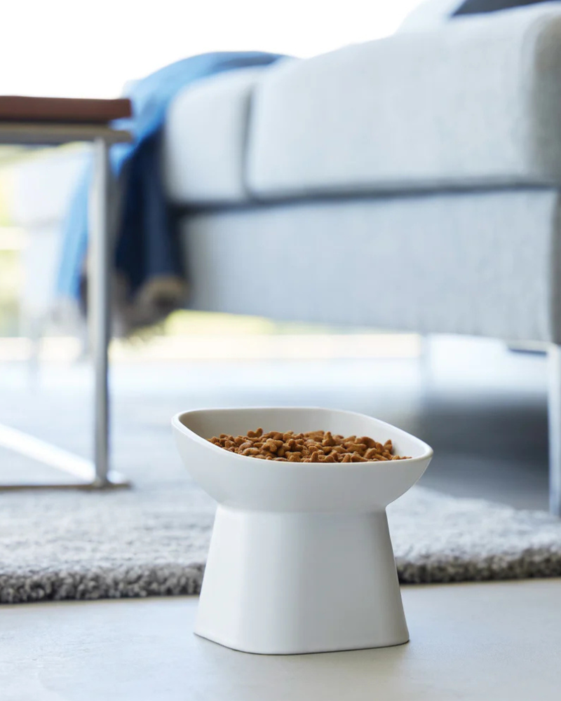 Tilted Pet Food Bowl CAT YAMAZAKI   