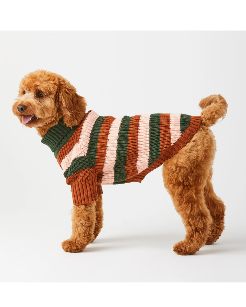 Bold Stripe Dog Sweater Wear THE FOGGY DOG   