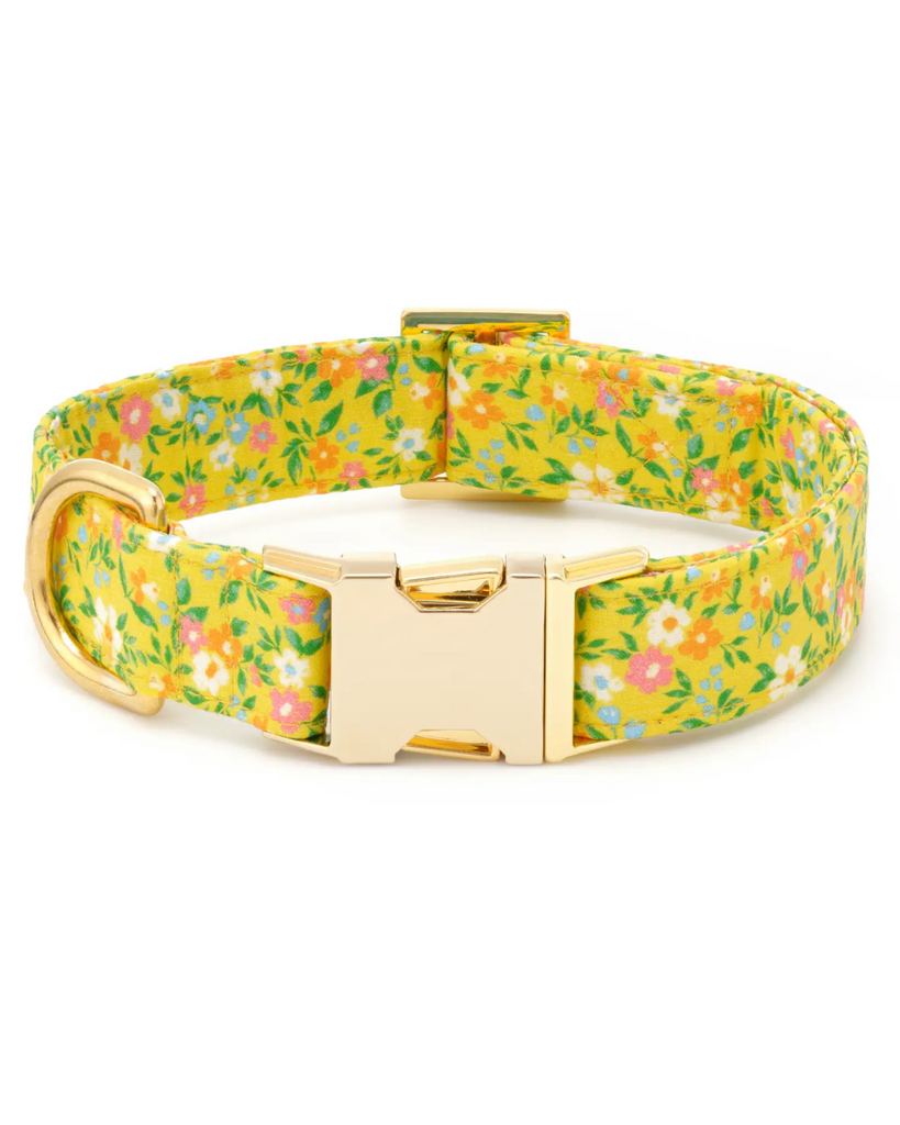 Sunny Meadow Spring Dog Collar (Made in the USA) WALK THE FOGGY DOG