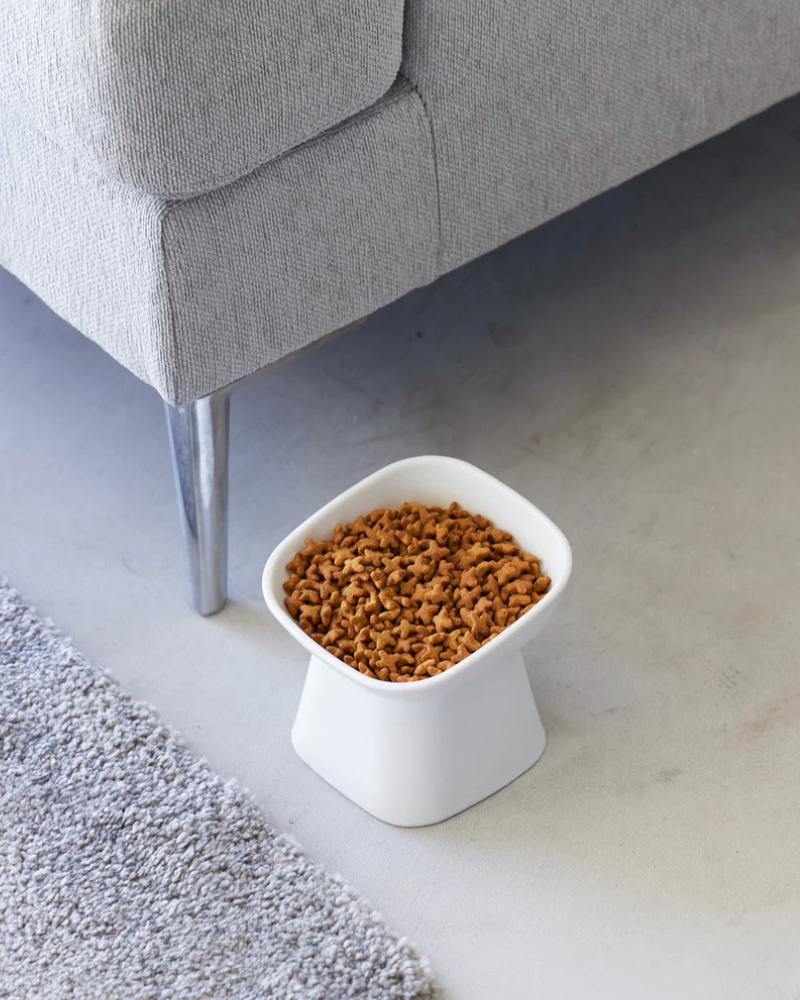 Tilted Pet Food Bowl CAT YAMAZAKI   