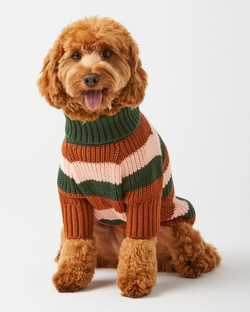 Bold Stripe Dog Sweater Wear THE FOGGY DOG   