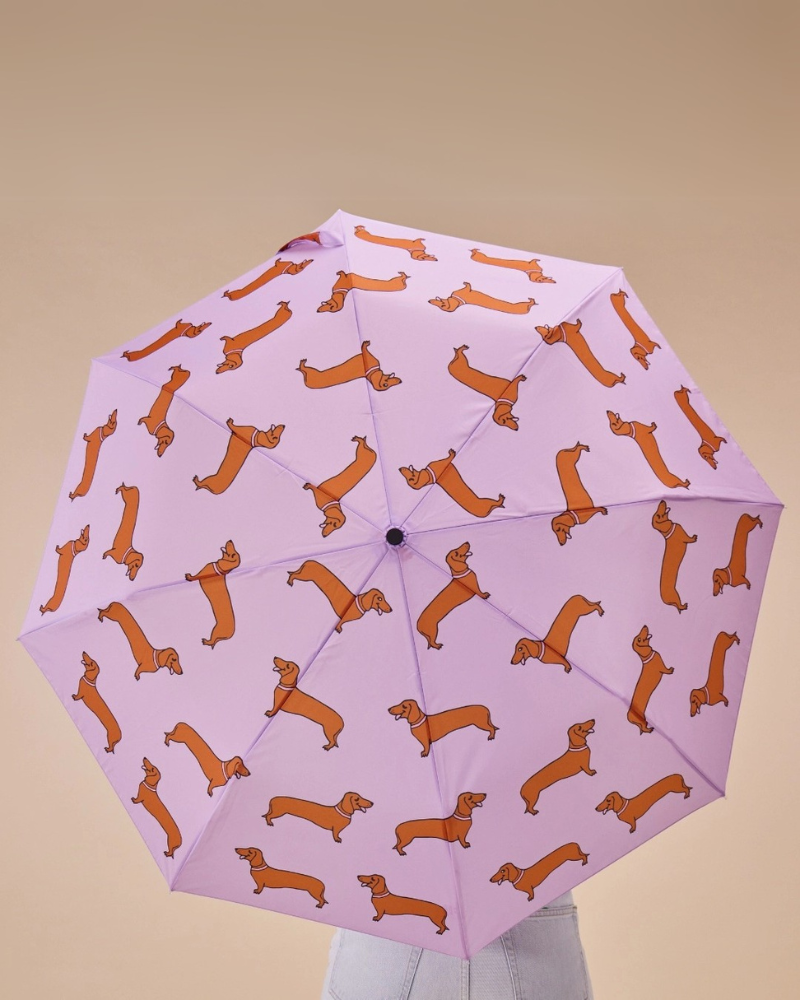 Compact Eco-Friendly Umbrella (in Doxie, Frenchie, Corgi or Matisse) HOME ORIGINAL DUCKHEAD