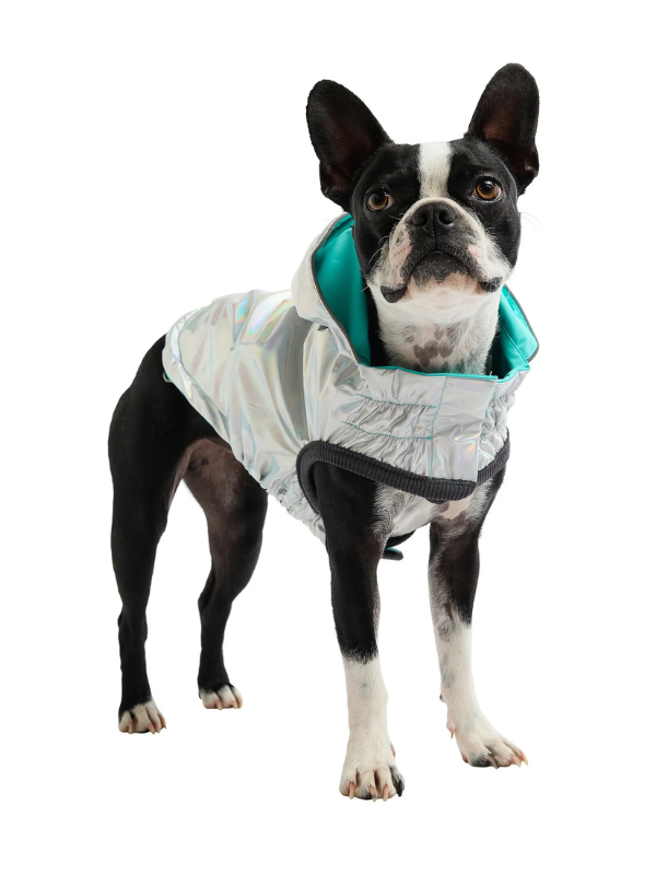 Reversible Waterproof Dog Raincoat in Iridescent + Turquoise Wear GF PET