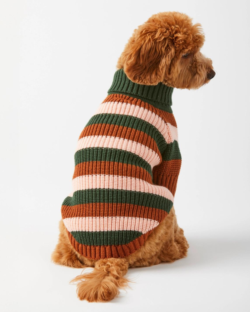 Bold Stripe Dog Sweater Wear THE FOGGY DOG   