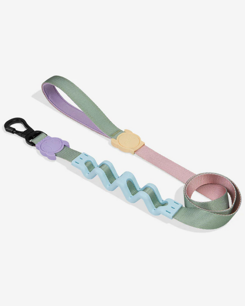 Ruff Leash for Dogs in Peach WALK ZEE.DOG