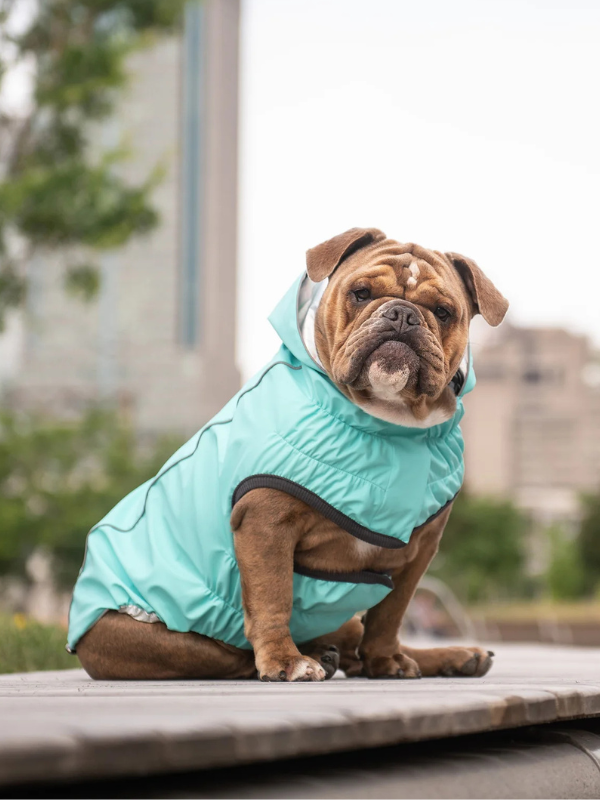 Reversible Waterproof Dog Raincoat in Iridescent + Turquoise Wear GF PET