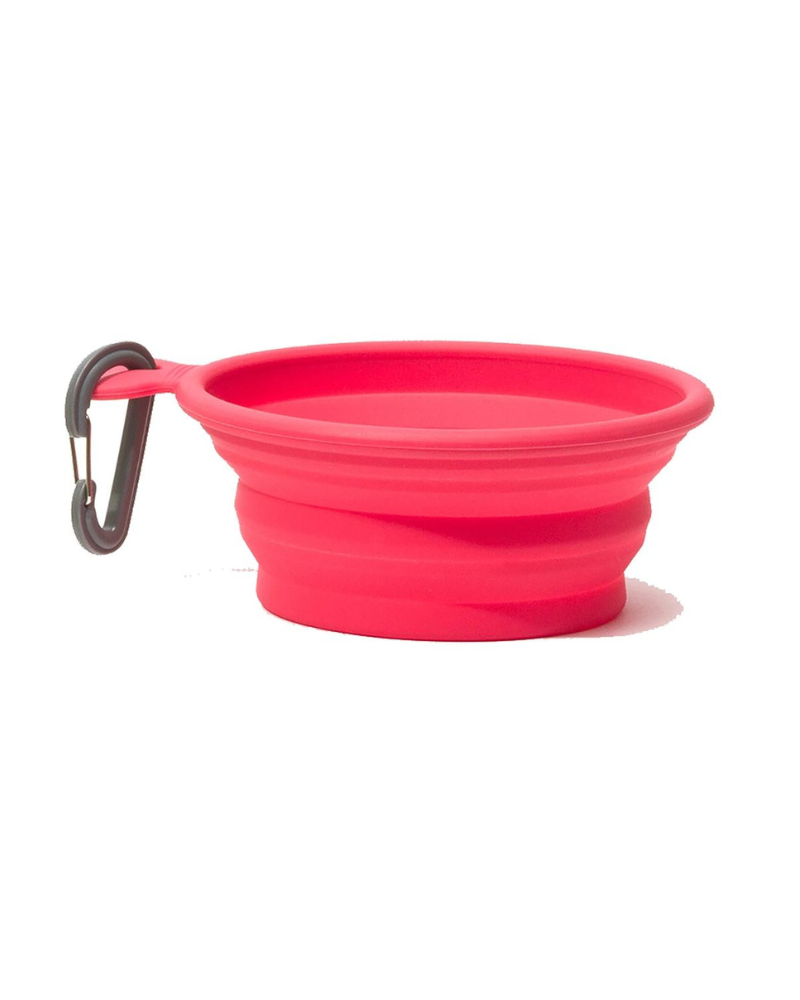 Silicone Collapsible Dog Bowls Dog Supplies MESSY MUTTS Large (Watermelon Pink)  