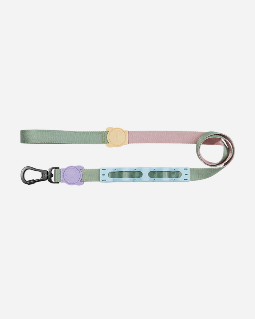 Ruff Leash for Dogs in Peach WALK ZEE.DOG