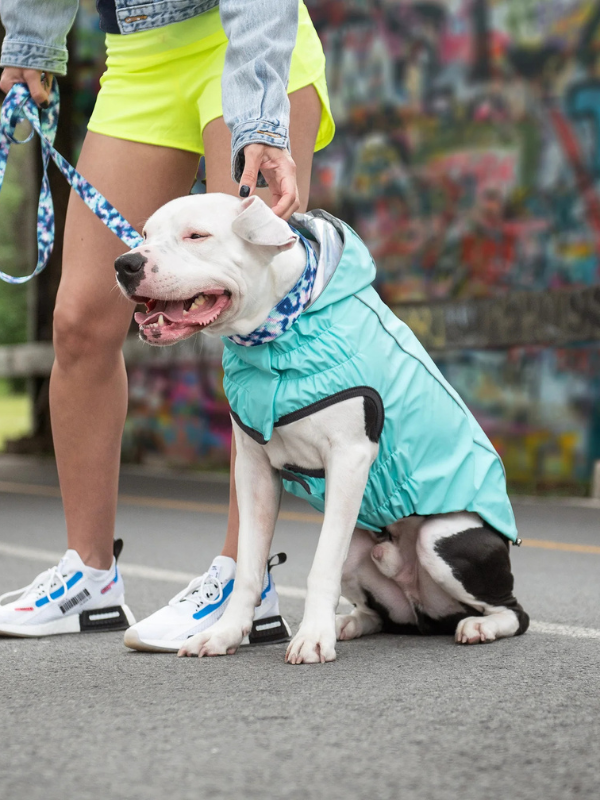 Reversible Waterproof Dog Raincoat in Iridescent + Turquoise Wear GF PET