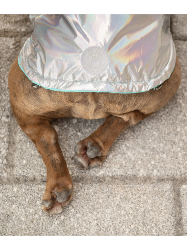 Reversible Waterproof Dog Raincoat in Iridescent Wear GF PET