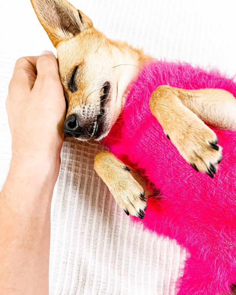 Hot Pink Fluffy Dog Sweater Wear LOUIS BARX   