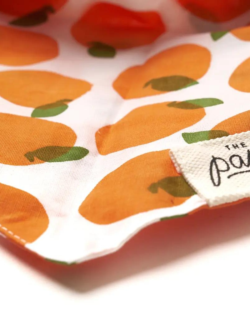 Orange You Pretty Dog Bandana (FINAL SALE) Wear THE PAWS   