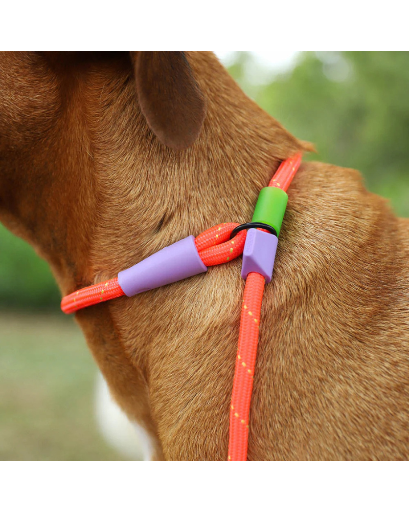 Slip-N-Lock Dog Leash in Everest Walk ZEE.DOG   