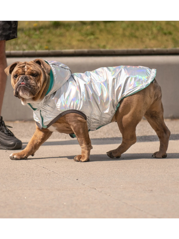 Reversible Waterproof Dog Raincoat in Iridescent + Turquoise Wear GF PET