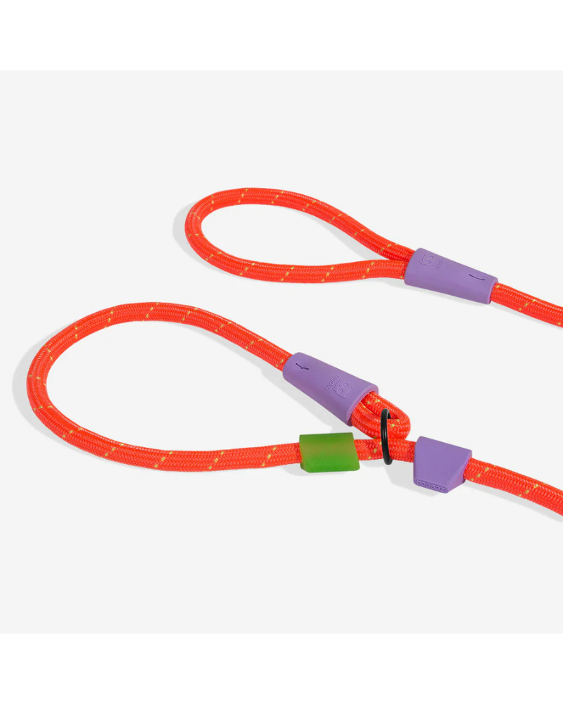 Slip-N-Lock Dog Leash in Everest Walk ZEE.DOG   