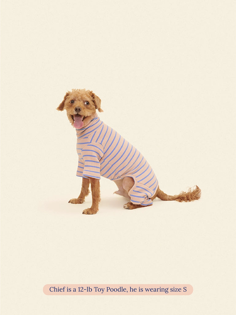 Catch Me Outside Dog Onesie (FINAL SALE) Wear LITTLE BEAST