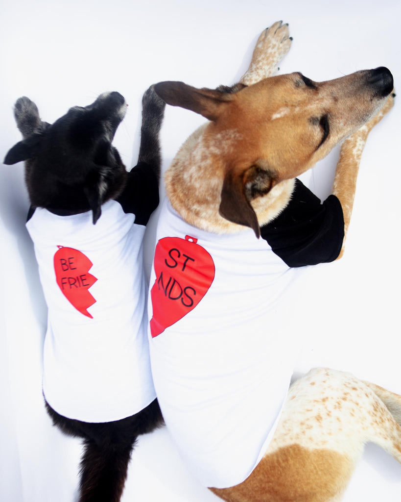 Best Friends Dog T-Shirt Set Wear DOG & CO.   