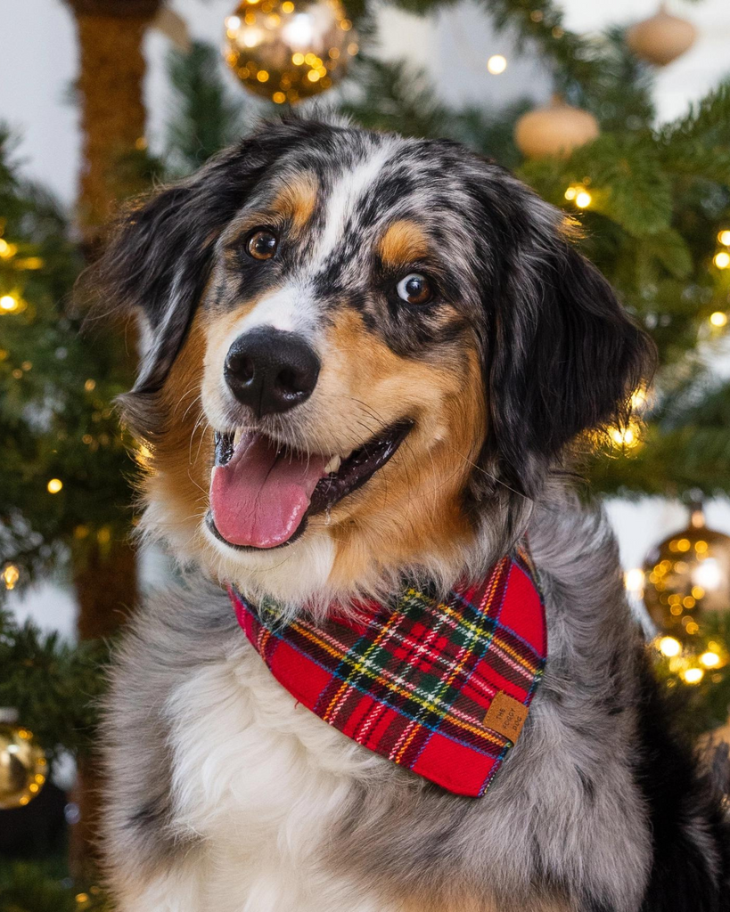 Flannel dog bandana best sale