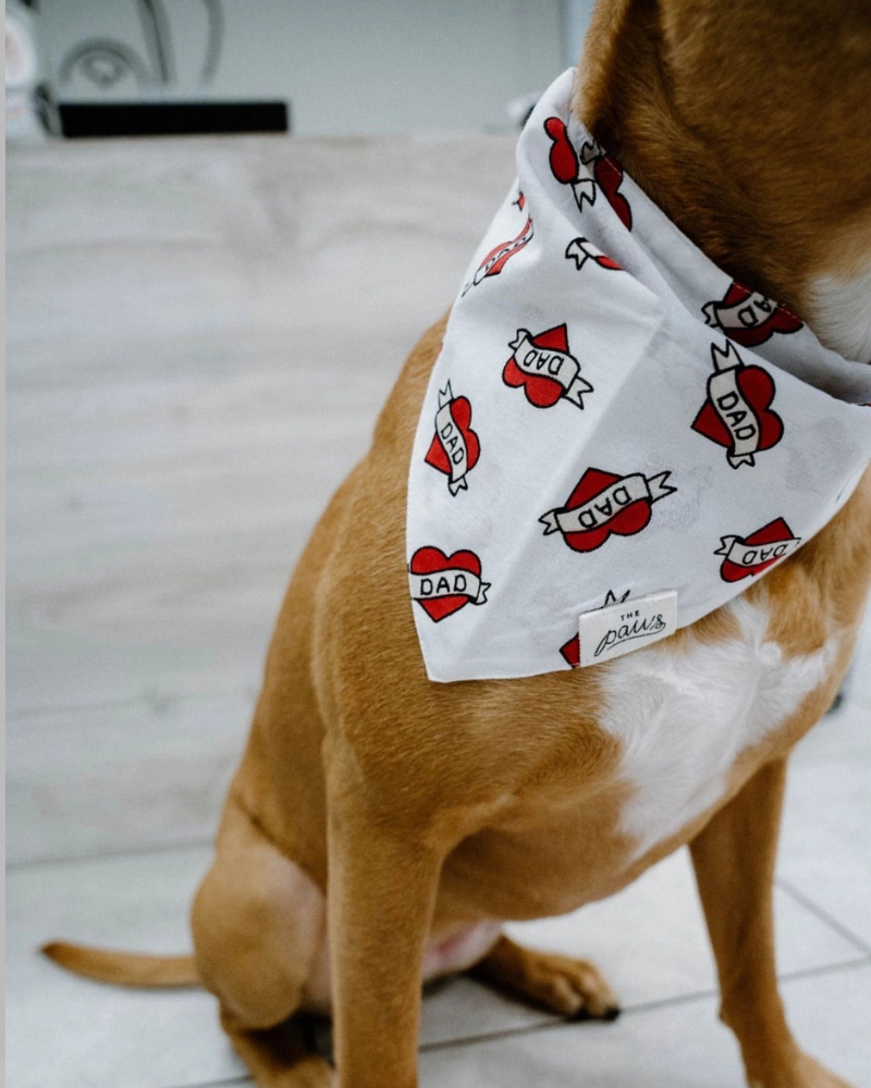 Love DAD Dog Bandana Wear THE PAWS