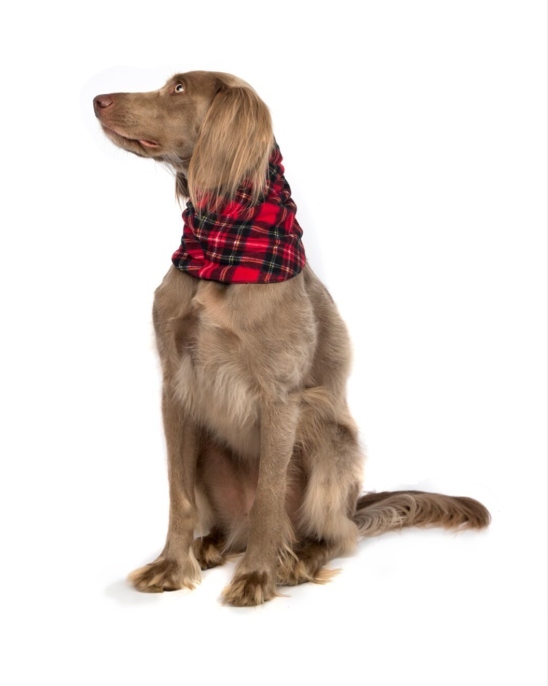 Fleece Dog Snood in Tartan Plaid (FINAL SALE) Wear GOLD PAW