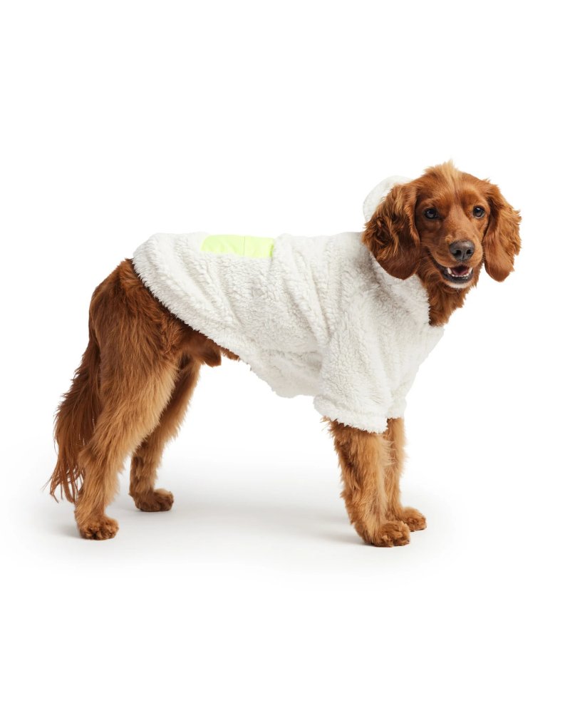 Cozy Dog Hoodie in White Sherpa Wear GF PET