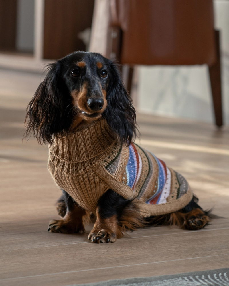 Earthy Stripes Alpaca Dog Sweater Wear ALQO WASI   