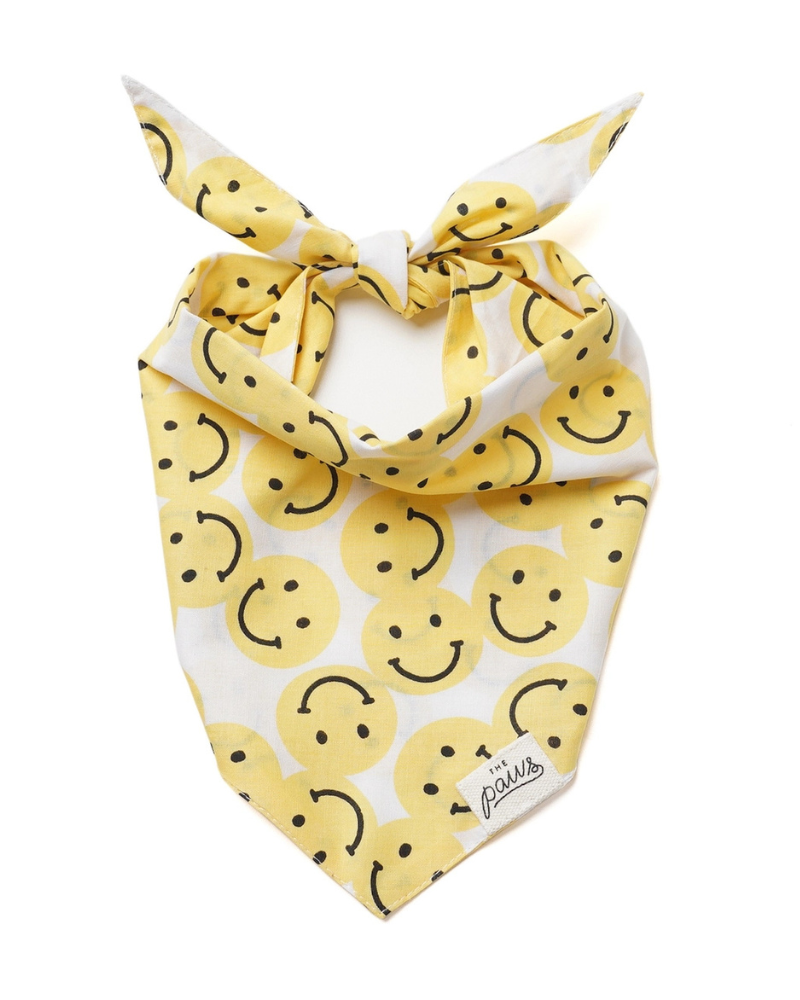 Smile Dog Bandana Wear THE PAWS