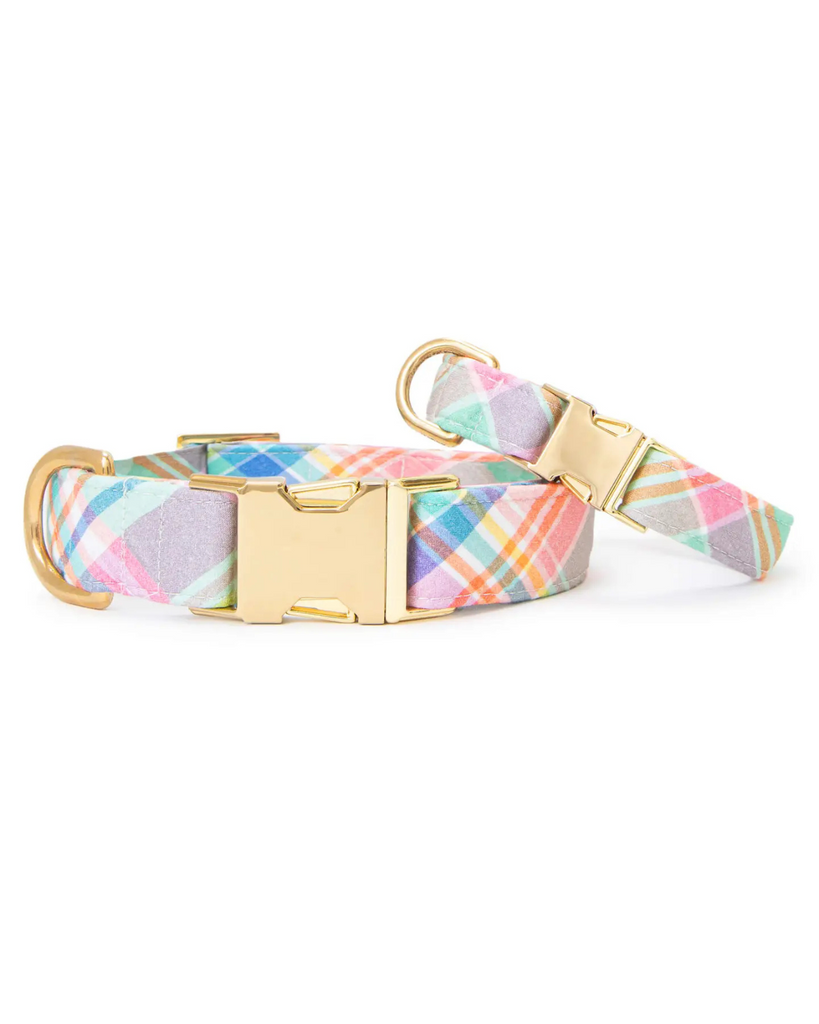 Blooming Plaid Spring Dog Collar (Made in the USA) WALK THE FOGGY DOG