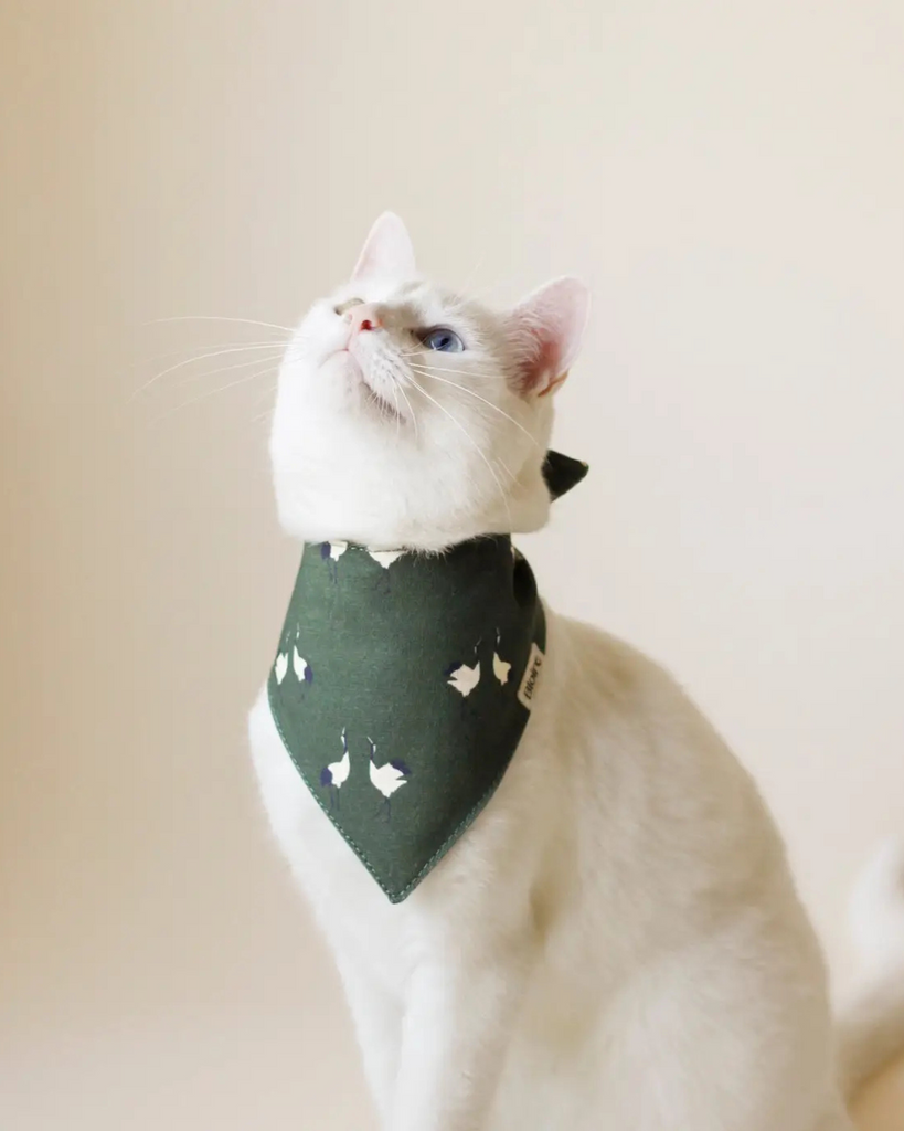 English Countryside Pet Bandana Wear Bloire