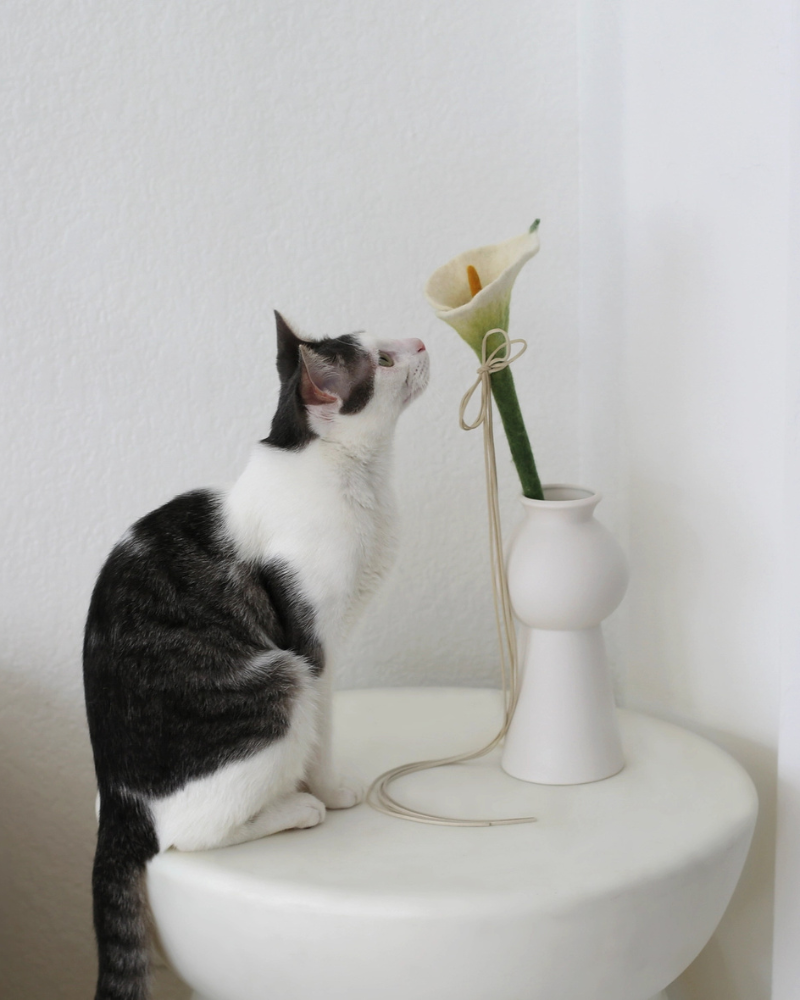 Calla Lily Flora Wand Cat Toy (17" inch) PLAY CATENARY HOME