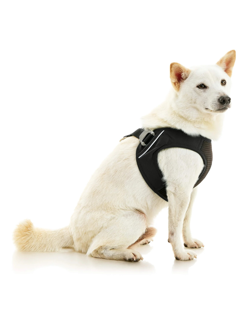 Escape-Free Easy Fit Plus Dog Harness WALK GOOBY