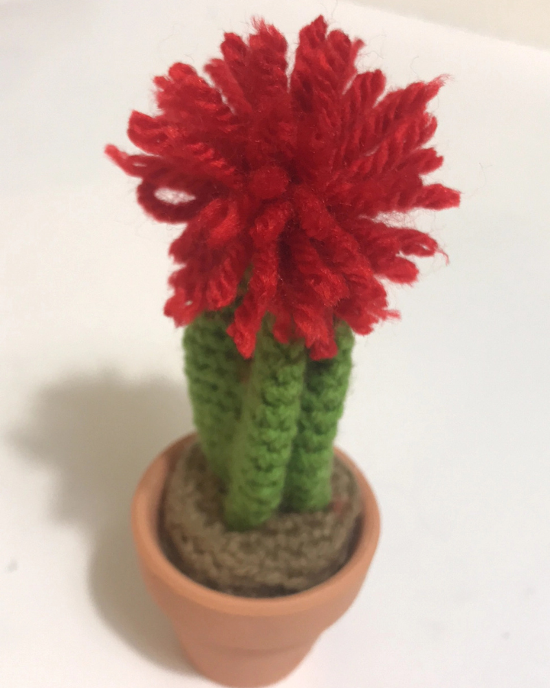 Pet-Safe Crochet Mini Cacti & Succulents (Made in the USA) PLAY ROSEMARY'S BABY MEK Red Ball Cactus