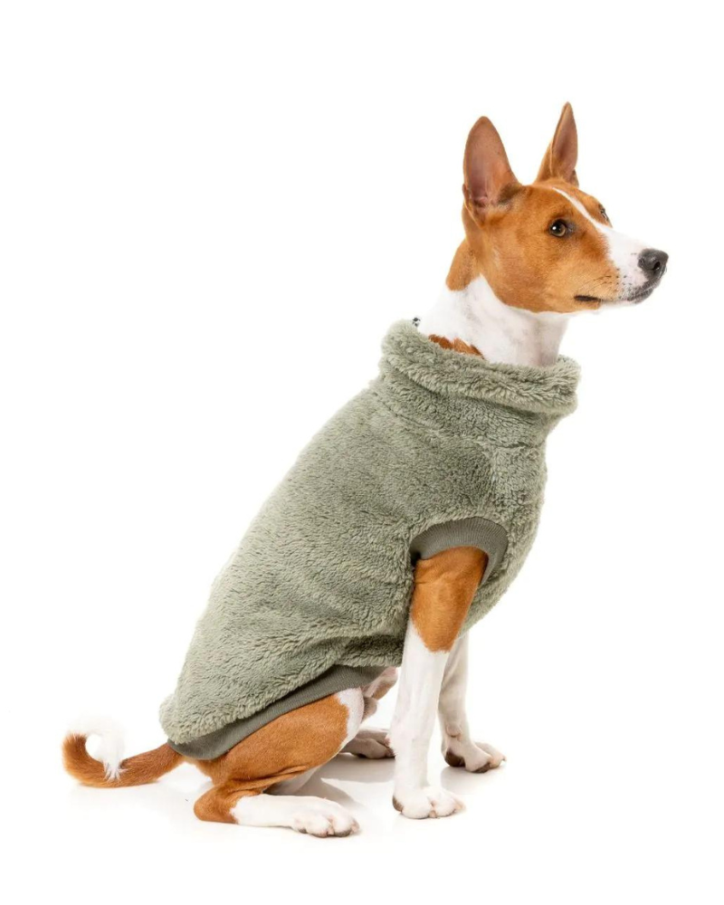 Turtle Teddy Dog Fleece in Rosemary (FINAL SALE) Wear FUZZYARD