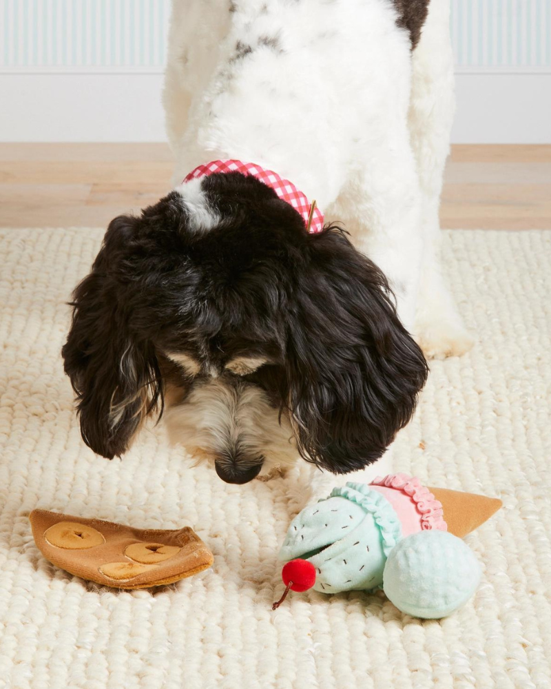 Ice Cream Snuffle Dog Toy Play THE FOGGY DOG   