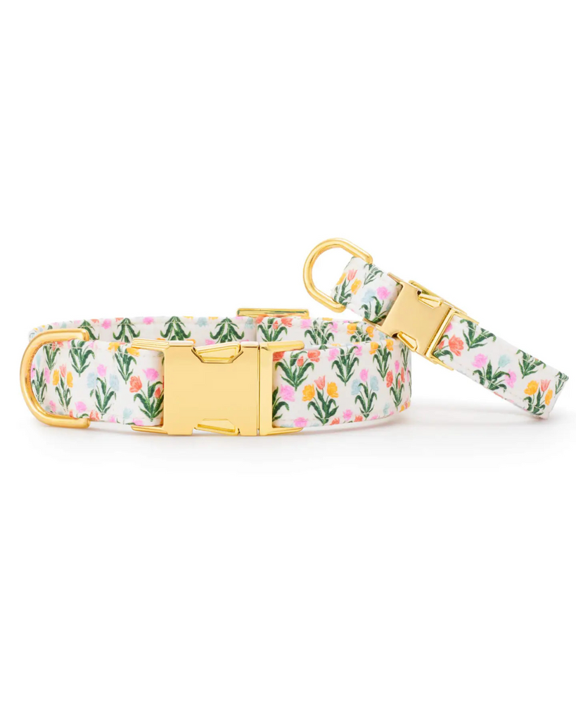 Rifle Paper Co. X TFG Tulips Spring Dog Collar (Made in the USA) WALK THE FOGGY DOG