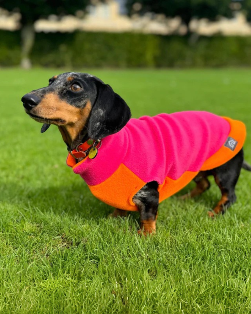 Two-Tone Dog Fleece Jumper (Made in the UK) Wear DOGHOUSE