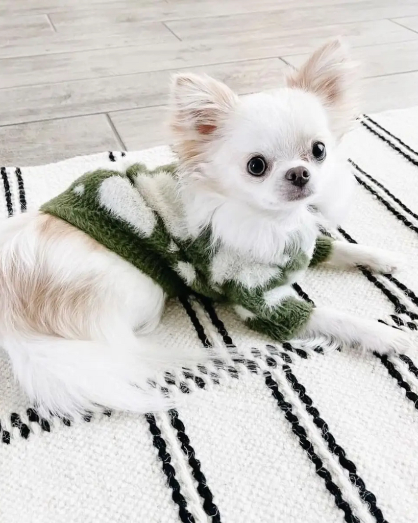 Soft Cloud Pet Sweater Wear PUPS & BUBS Green Small