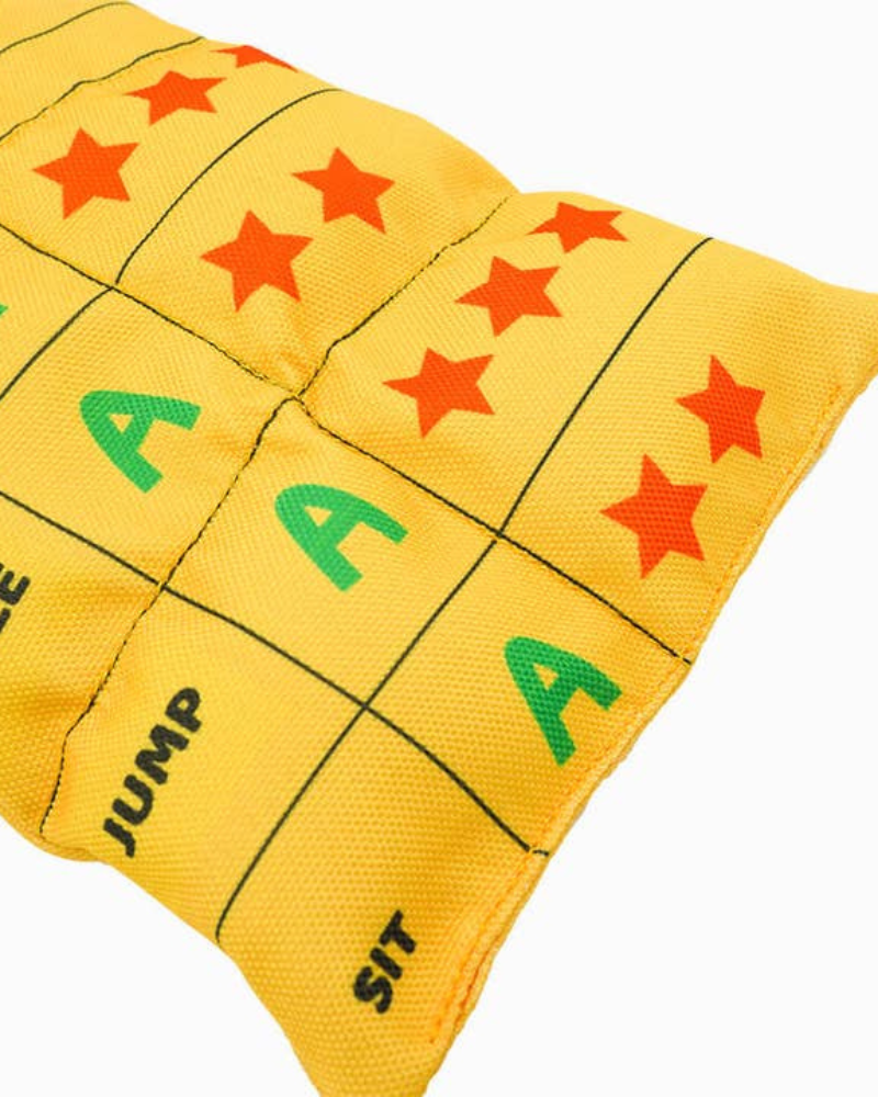 Report Card Plush Squeaky Dog Toy PLAY HUGSMART   