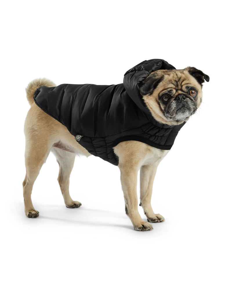 Cloud Puffer Parka for Dogs in Black Wear GF PET